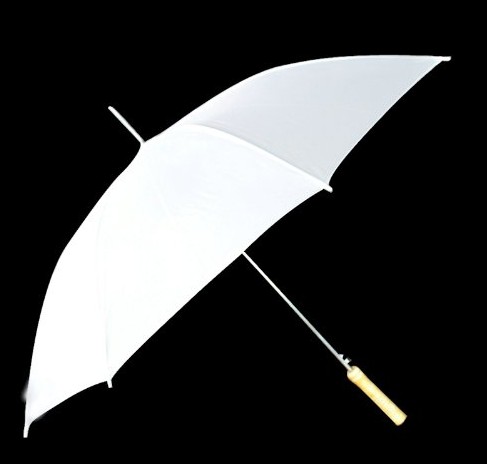 White Umbrella!